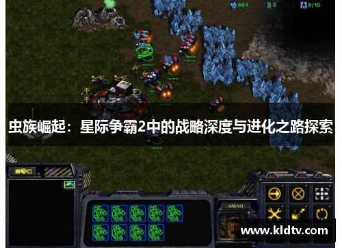 虫族崛起：星际争霸2中的战略深度与进化之路探索