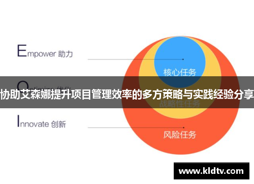 协助艾森娜提升项目管理效率的多方策略与实践经验分享