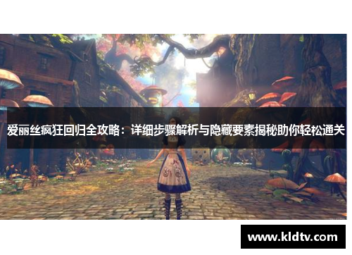 爱丽丝疯狂回归全攻略：详细步骤解析与隐藏要素揭秘助你轻松通关